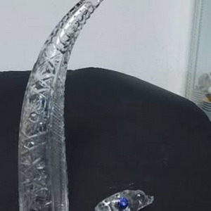Suur kristallist joogisarv ja metssiga (3 foto / 4)