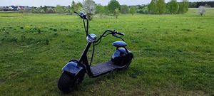 Elektritõukeratas Citycoco (1 foto / 4)