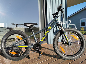 Laste jalgratas 20 tolli Specialized (1 foto / 6)