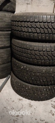 215/65R/16C M+S cargo rehvid