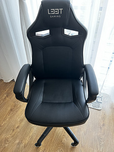 L33t gaming (1 фото из 2)