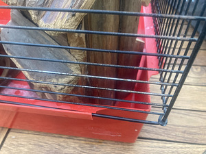 Väiksemate lemmikute puurid ja lisad (2 foto / 4)