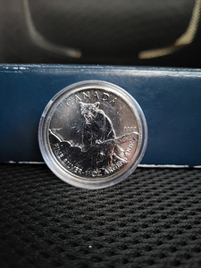 1 oz hõbemünt (erinevad) (1 foto / 4)