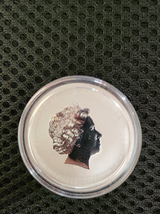 0,5 oz Austraalia Perth Mint hõbemünt (erinevad) (4 foto / 6)