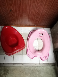 Potid ja WC-istmed lastele (5 foto / 9)