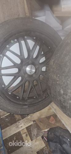 Dotz 19"
