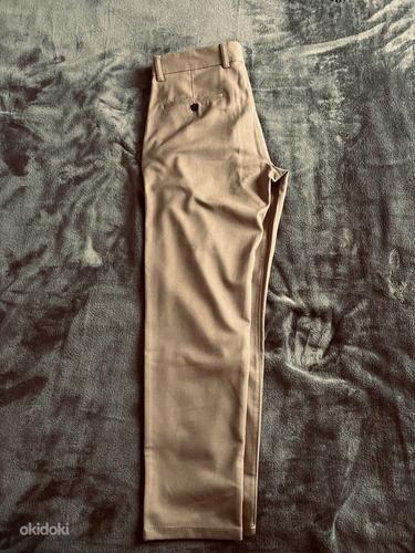 Pruunid püksid (foto #1)