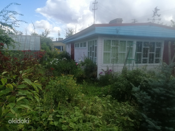 Kaevuri AÜ 29, Koljala, Lüganuse vald, Ida-Virumaa