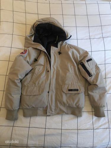 Canada Goose chilliwack