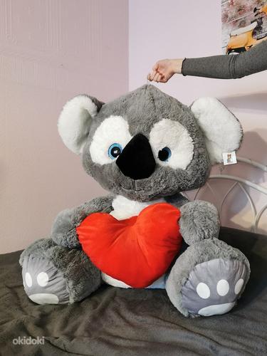Плюшевая коала (фото #1)