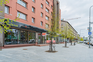 Gonsiori tn 12, Kesklinna, Tallinn, Harjumaa (45 foto / 50)
