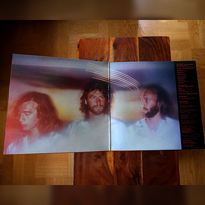 Vinüülplaatide kollektsioon: Bee Gees, Beatles, Neil Diamond (2 foto / 10)