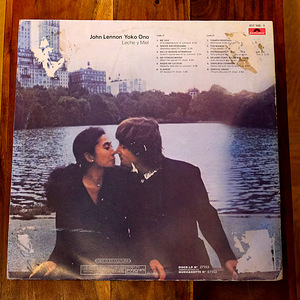 Vinüülplaatide kollektsioon: Bee Gees, Beatles, Neil Diamond (4 foto / 10)