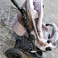 Детский стул для кормления-шезлонг,автолюлька,кровати (фото #3)