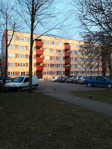 2-toaline korter renoveeritud pargis (2 foto / 10)