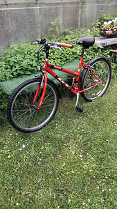 Mägi jalgratas PALOMAR GT