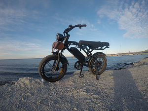 Elektriratta rent BOLT FOOD WOLT