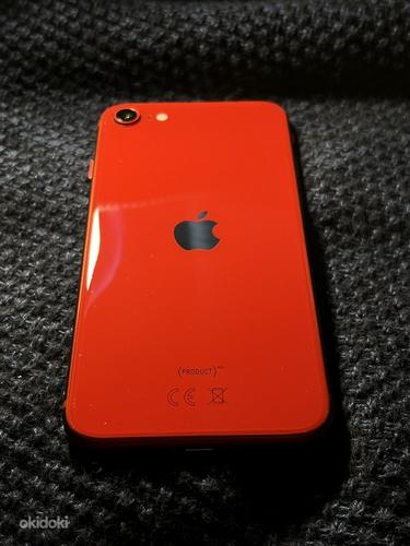 iPhone SE (2020) (фото #1)