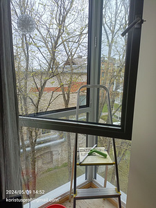 Akende pesu. (3 foto / 8)