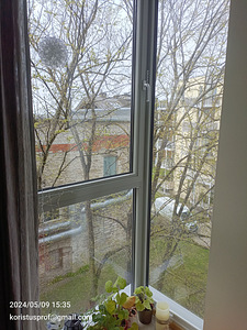 Akende pesu. (5 foto / 8)