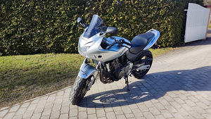 Honda Hornet
