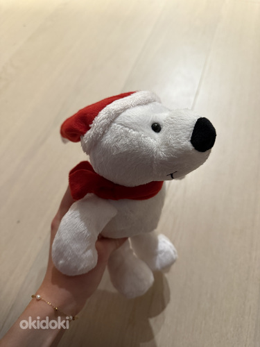 Jääkaru