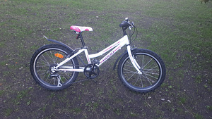 Jalgratas Hoop Hacker 20" (1 foto / 2)