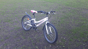 Jalgratas Hoop Hacker 20" (2 foto / 2)