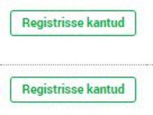 Teie projekti viib läbi kogenud arhitekt ja insener (2 foto / 3)