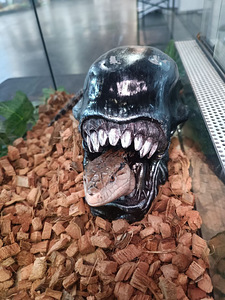 Käsitööna valminud terrariumide ja akvaariumide dekoratsioon (9 foto / 10)