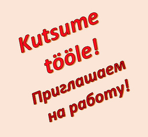 Мы предлагаем работу (1 фото из 1)