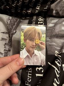 Stray kids photocard LeeKnow skz bts txt kpop (1 foto / 1)