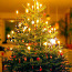Новогодние елки с доставкой в Харьюмаа и Таллинне (фото #1)