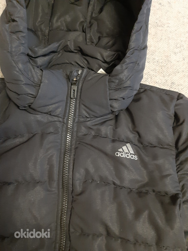 Adidas куртка (фото #1)