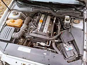 Opel Omega Edition2000 Sport Winterbeater (11 foto / 14)