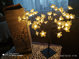 Новогоднее украшение (3 фото из 3)