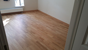 Paigaldus parkett ja laminaat (3 foto / 8)