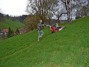 M70 multšer (5 foto / 10)