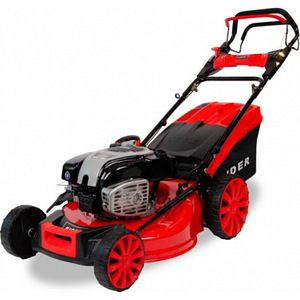 Briggs & Stratton RIDER R53-B bensiinimootoriga muruniiduk (2 foto / 8)