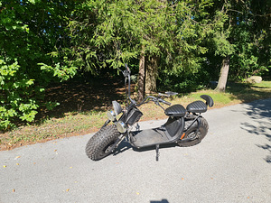 Chopper elekter / Elektriroller (4 foto / 7)