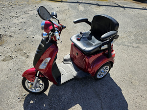 SKAND LEIJONA PLUS SAFETY MODEL elektriskuuter 500w (3 foto / 6)