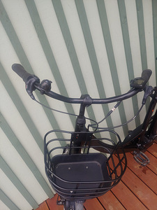 ECORIDE Ambassador AXS H-8 elekrijalgrattas (3 foto / 5)