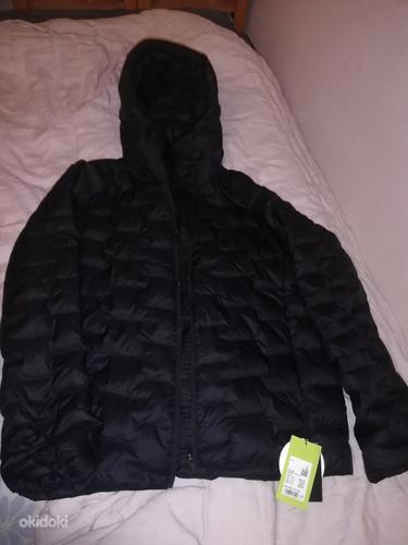 Everest куртка новая (фото #3)