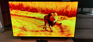 LG CX OLED 48" OLED48CX3LB (2 foto / 4)
