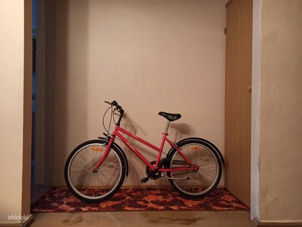 Jalgratas Ma labike (foto #1)