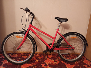 Jalgratas Ma labike (3 foto / 5)