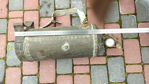 Taimekaitseprits haruldlaselt vana (4 foto / 5)