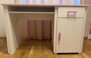 Funktsionaalne laste kirjutuslaud (2 foto / 8)