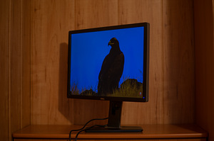 Dell UltraSharp U2412M (4 foto / 9)