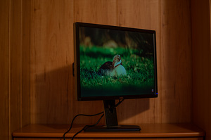 Dell UltraSharp U2412M (5 foto / 9)